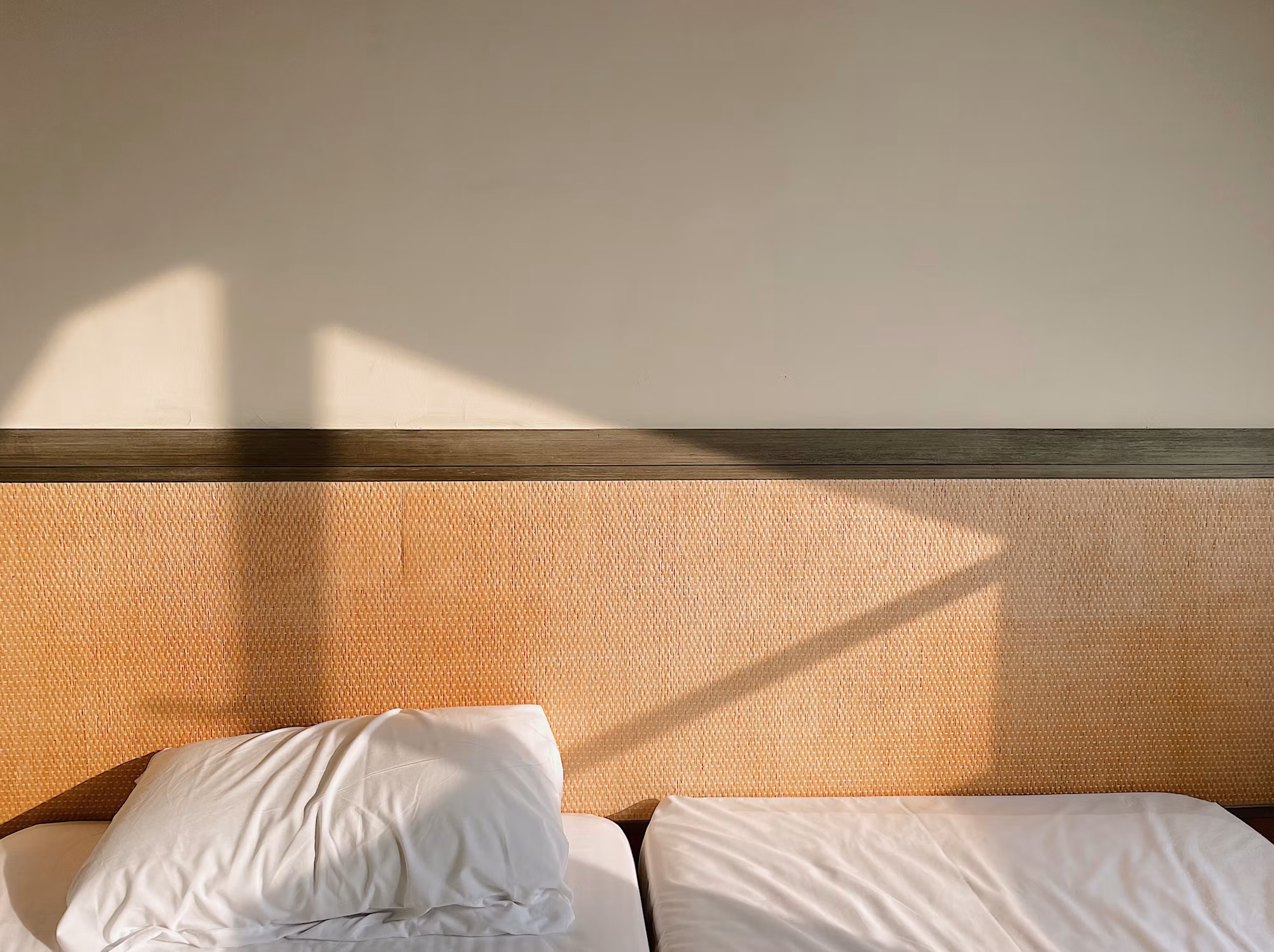 Exploring Eco-Friendly Hotels: A Sustainable Traveler’s Guide